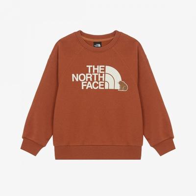 Kids Animate Sweatshirt Dark Orange Nm5mr55t