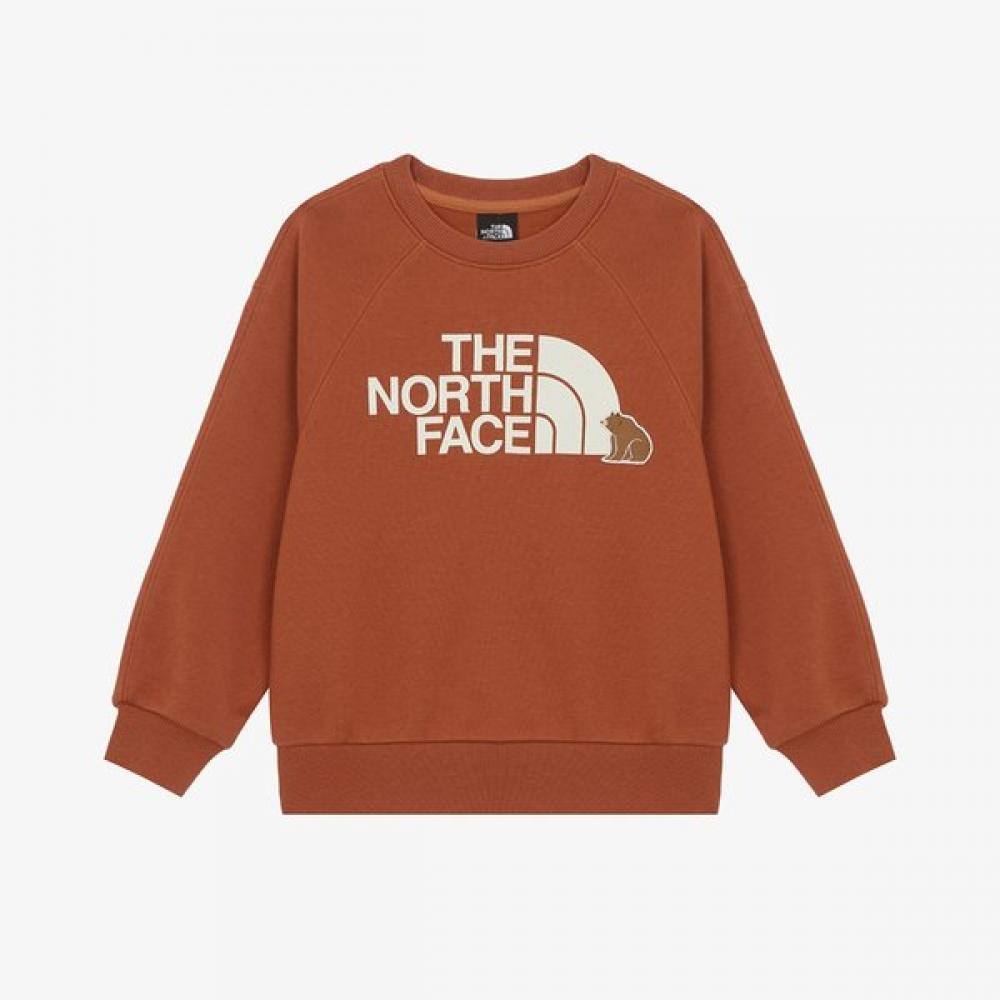 The North Face Kids Animate Sweatshirt Dark Orange Nm5mr55t DARK ORANGE/100