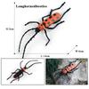 Oenux New Insect Animals Model Butterfly Bee Dragonfly Mantis Ant Snail Action Figures Jouet Collection Decor Kids Education Toy