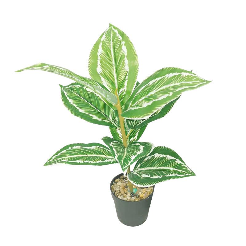 Desktop Rubber Tree & Aspidistra Potted Plant - Bionic Green Landscape Ornament
