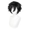 Jujutsu Kaisen Fushiguro Toji Cosplay Wig Black Short Synthetic Men Role Play