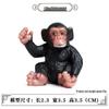 Cross-Border Animal Model: Children's Cognitive Gorilla and Monkey Ornaments