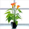 Home Artificial Flower Bonsai Indoor Outdoor Simulation Flowers Plant Living Room Courtyard Patio Decoration