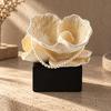 Sculptural Petal Highlight with Ebony Base Textured Tabletop