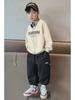 2023 Stylish Boys' Autumn Sweatshirt: New Streetwear Tops for Kids