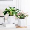 Bouteille Fleurie Hydroponique Fleur Citrouille Vase Décoration Maison Jardinière Vase Décoratif pour Accessoires de Pièce de Maison