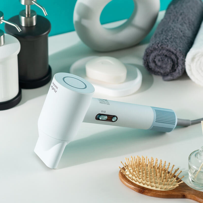 Plus Air BLDC Negative Ion Hair Dryer HM-5