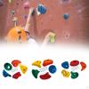 5 Rocks, Rock Wall Climbing Sets with Mounting Material, Brackets, Holds for,