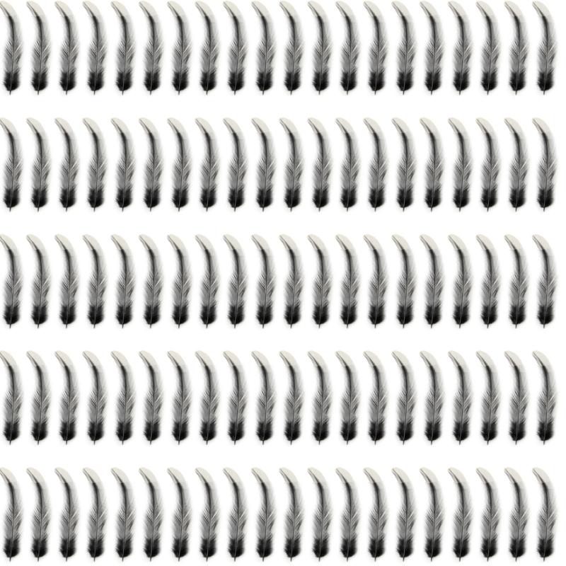 Pack Of 100 Natural Black Feather Natural Gooses Feather For Craft Wedding Decoration Hat Earrings Jewelery Making