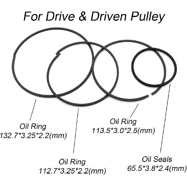 

TRANSPEED JF015E RE0F11A CVT Transmission Pulley Seal Rubber O Rings Assortment Kits Compatible With Nissan Sentra SUNNY SUZUKI MITSUBISHI CHEVROLET