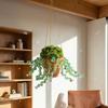 Kit per Piante Verdi con Perline e Vaso in Ceramica, Kit Fai-da-te per Creare Piante in Vaso con Perline, Acchiappasole da Appendere alla Finestra, Decorazione per Casa, Giardino, Auto