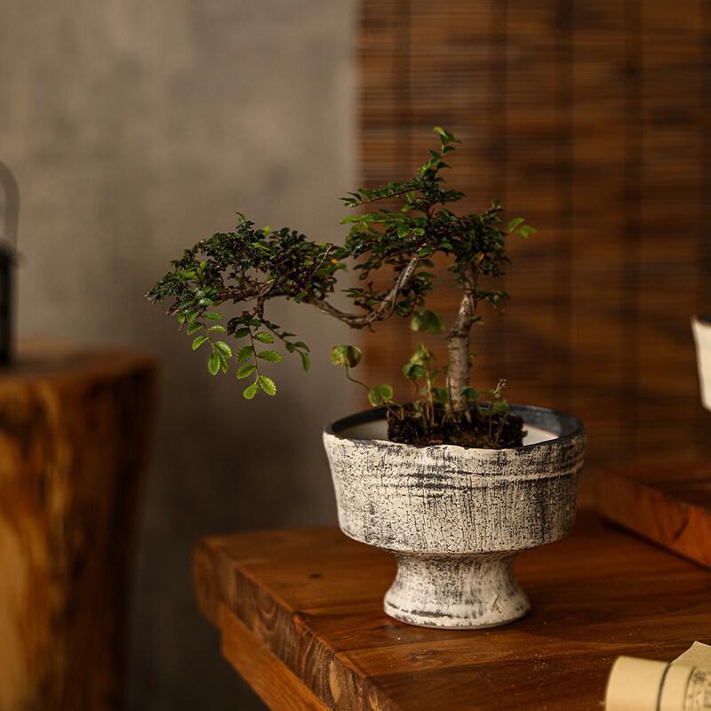 Lilang Jingdezhen Ceramic Plant Pot