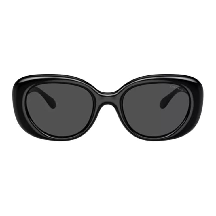 Coach 8391U Full Frame Design Injection Molded Oval Sunglasses Women Sunglasses Black 0HC8391U-500287