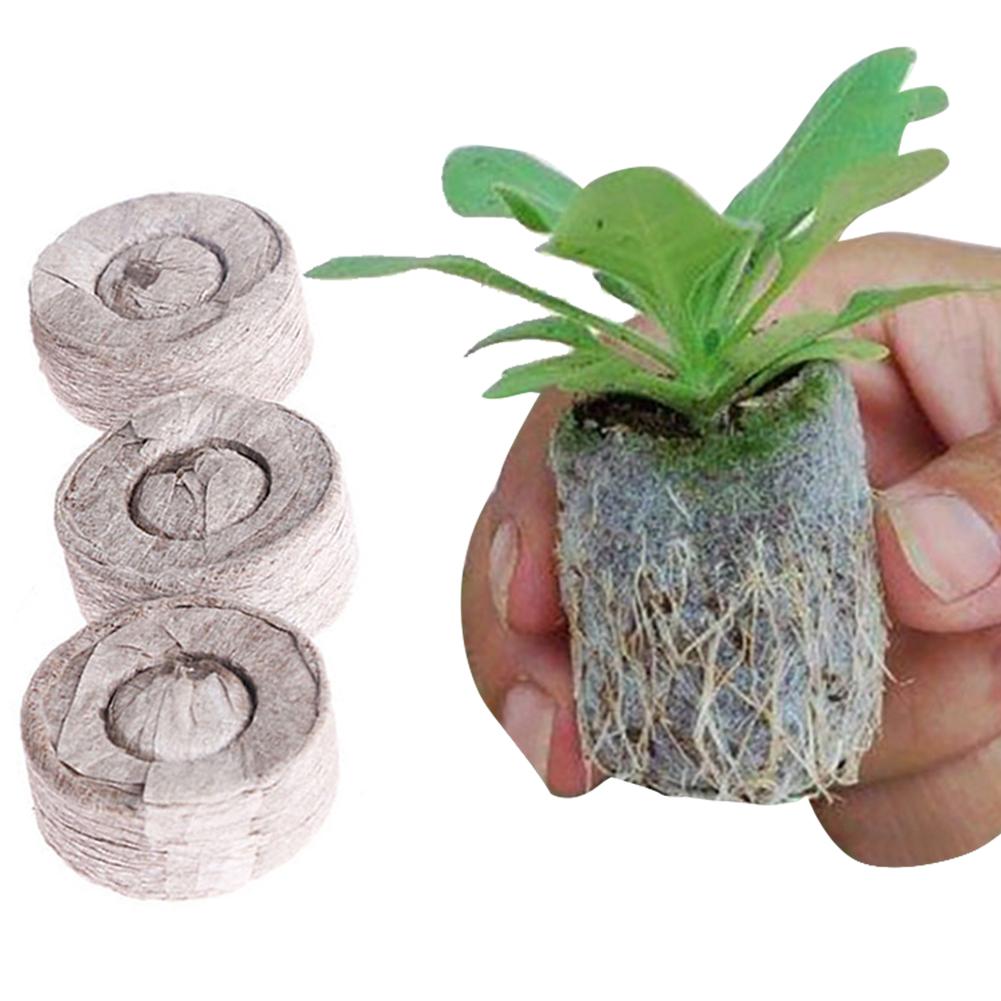 Buy 100 Count Jiffy Peat Soil Pellets Seeds Starting Plug 30MM for