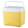 Insulated Cooler Box Sturdy with Carry Handle Hard-Sided for Picnics