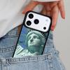 Status of Liberty Phone Case for iPhone 17ProMax 12 13 14 15 16e 17 Pro Max Plus Air Cover