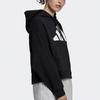 (WMNS) adidas Sport Stylischer Hoodie Schwarz Damen FS2451