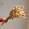 High-End Wabi-Sabi Dried Flower Decor: Natural Reeds & Wheat for Living Room or Homestay.