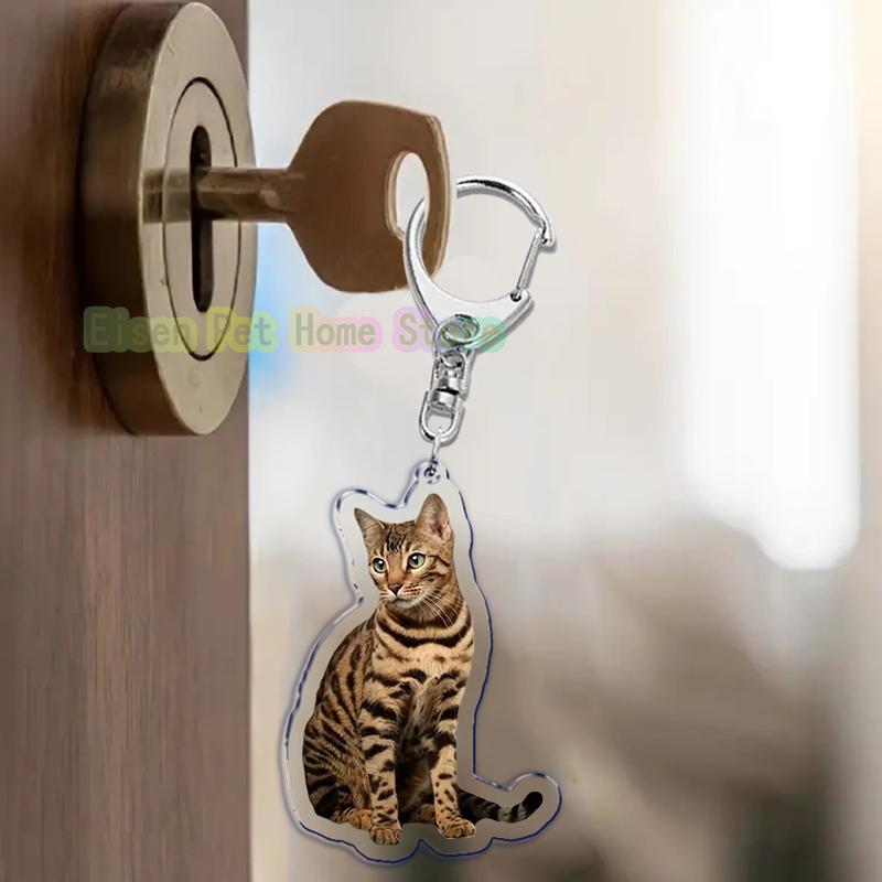 Funny Cat Key Chain Keychains Ring for Accessories Bag Pendant Keyring Jewelry Cute Animal Pet Llaveros Friends Gifts Cool Cats