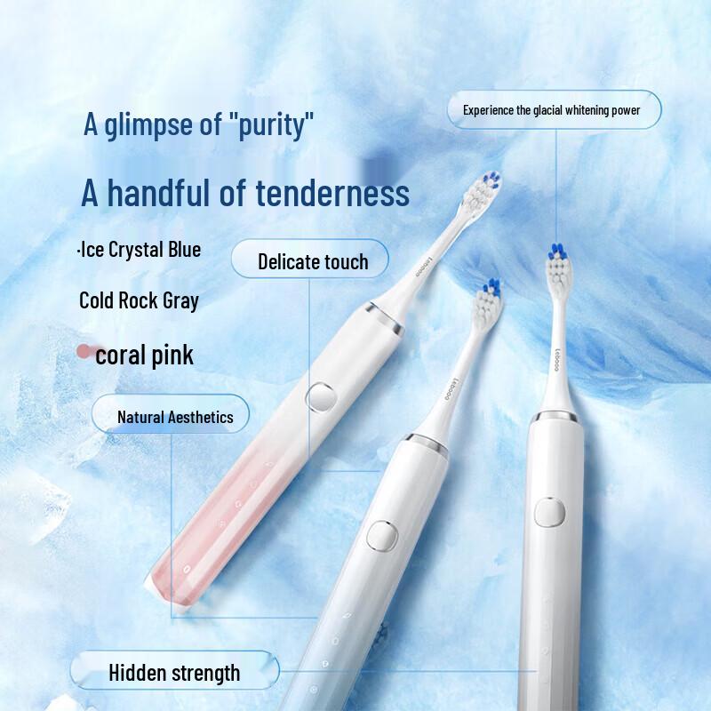 Lebooo Smart Sonic Electric Toothbrush 2 CN plug (adapter included)