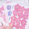 12Pcs Flowers Decoration High Imitation Bright Color Dried Flowers Dried Pressed Flowers for Nail Sticker Floral Decors