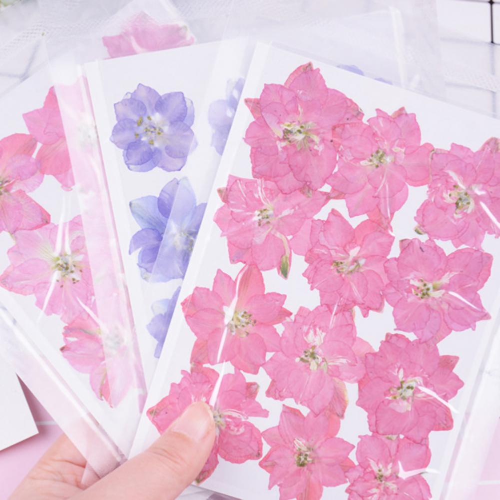 12Pcs Flowers Decoration High Imitation Bright Color Dried Flowers Dried Pressed Flowers for Nail Sticker Floral Decors