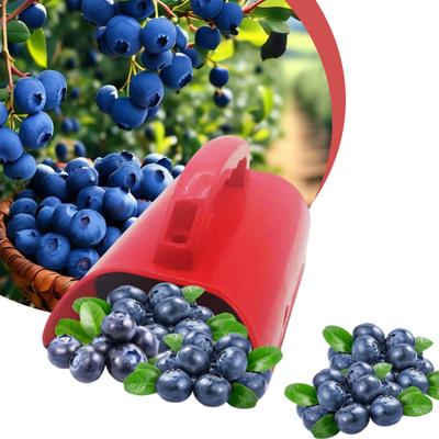 Zbieracz Borówek Zbieracz Jagód z Pojemnikiem do Zbierania Owoców Narzędzie Ogrodnicze do Zbiorów Grabka/Łopatka do Wydajnego Zbioru Maliny