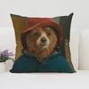 45X45Cm Sofa Decorate Paddington Bear Cushion Set With Double-Sided Printed Pillowcase And Chair Waist Cushion
