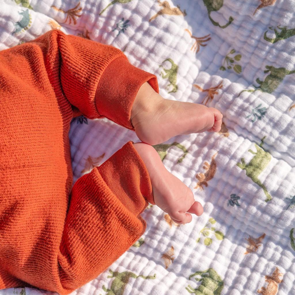 aden + anais essentials Swaddle 2-Pack Dino Jungle 112x112cm Muslin Cotton Newborn Night Crying Relief Gauze Baby Gift SWADAEESWC20032