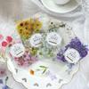 Journamm 40 pièces/paquet Autocollants Décoratifs Fleurs Esthétiques Scrapbooking DIY Art Collage Matériaux pour Junk Journal Autocollant PET Papeterie