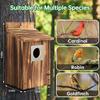 Wood Bird House Nest Weatherproof Hummingbird Birdhouse Bluebird for Country Cottage Tree