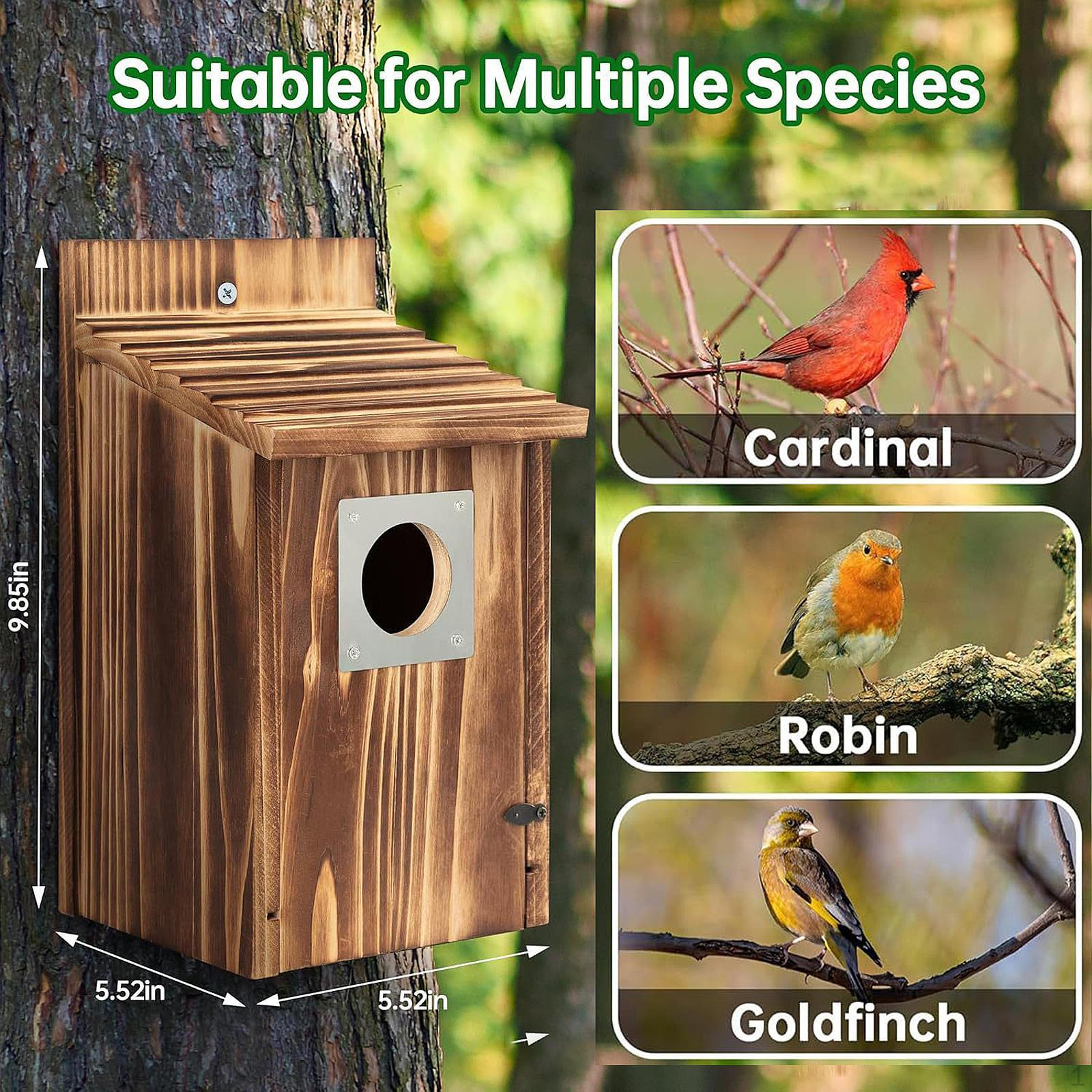 

Деревянный скворечник гнездо всепогодный колибри скворечник лазоревка для загородного коттеджа дерево