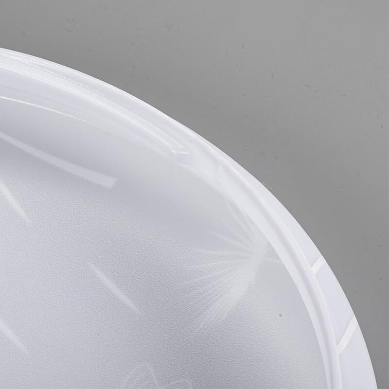 Chinese Style Feather LED Ceiling Light