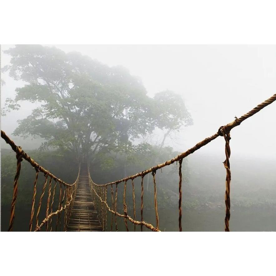 Tapestry Bridge in the Fog 75x100