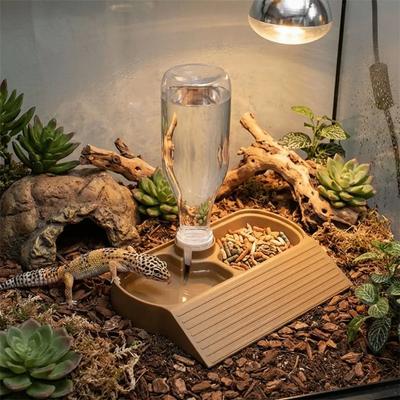 2 In 1 Reptile Feeder Station Automatic Fill Large Capacity Automatic Water Dispenser Bite Resistant Climbing Slope Water Bottle