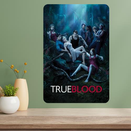 True Blood Classic TV Show Metal Poster Sign 20x30cm(7.8x11.8inch)