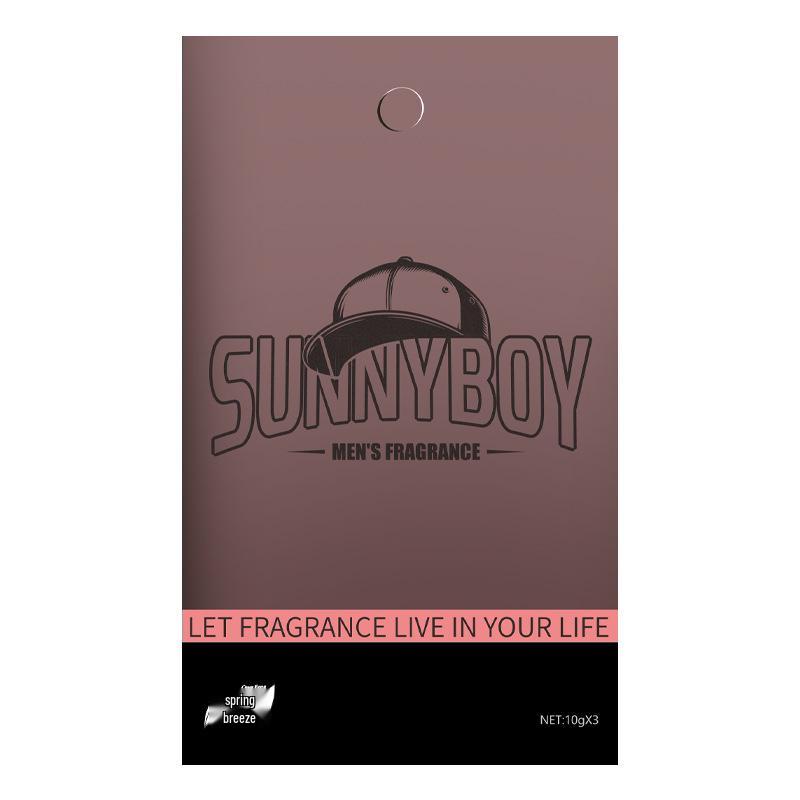 

Ароматизированный дезодорирующий мешочек «Весенний бриз» – Долгоиграющий освежитель для гардероба, шкафа, спальни и автомобиля. 10g x 3 bags