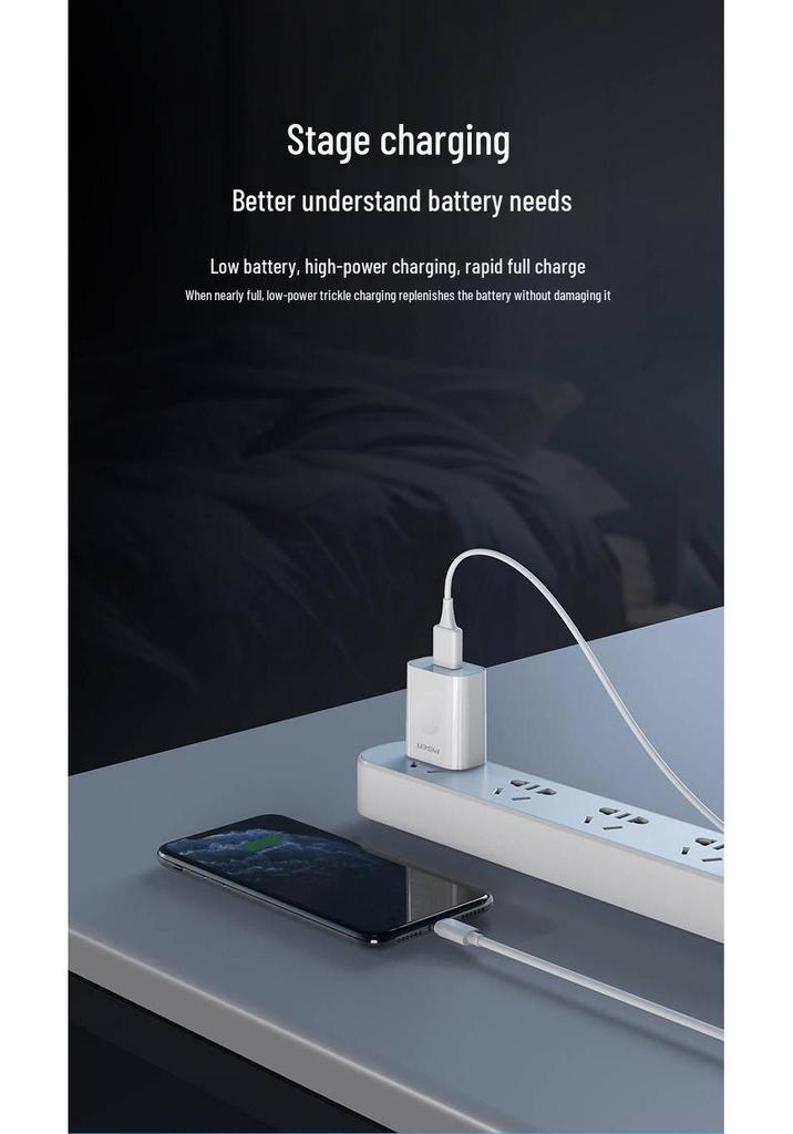 PISEN Dual-Port USB Charger, Fast Charging for Apple, Android, and Tablets.