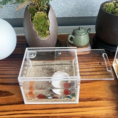Terrario transparente para caracoles, caja de cría de acrílico, recinto para serpientes, lagartos, ranas, geckos, caracoles y tortugas, ideal para la observación, cría y alimentación.