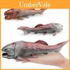 Dunkleosteus Prehistoric Marine Animal Model For Childrens Educational Decor