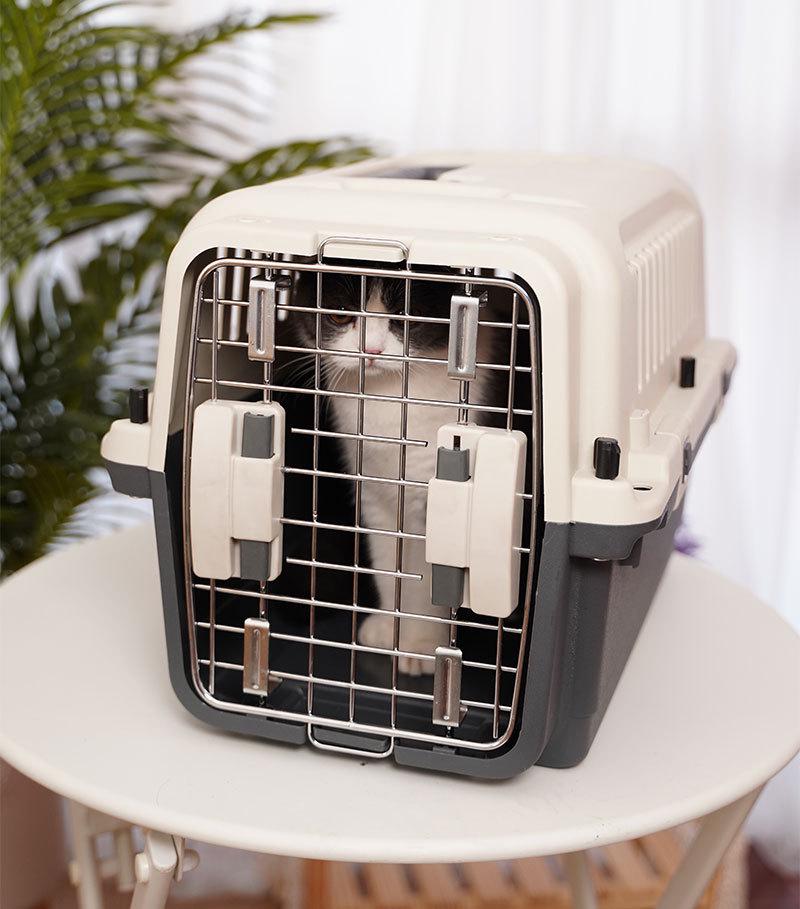 XDPC Xinding Pet Airline Crate: Durable Plastic Carrier with Iron Window for Cats & Dogs, Air China Approved