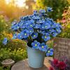 3 pcs Garden Decoration Bee Butterfly Water Dispenser Flower Shape Artificial Flower  Party Decor