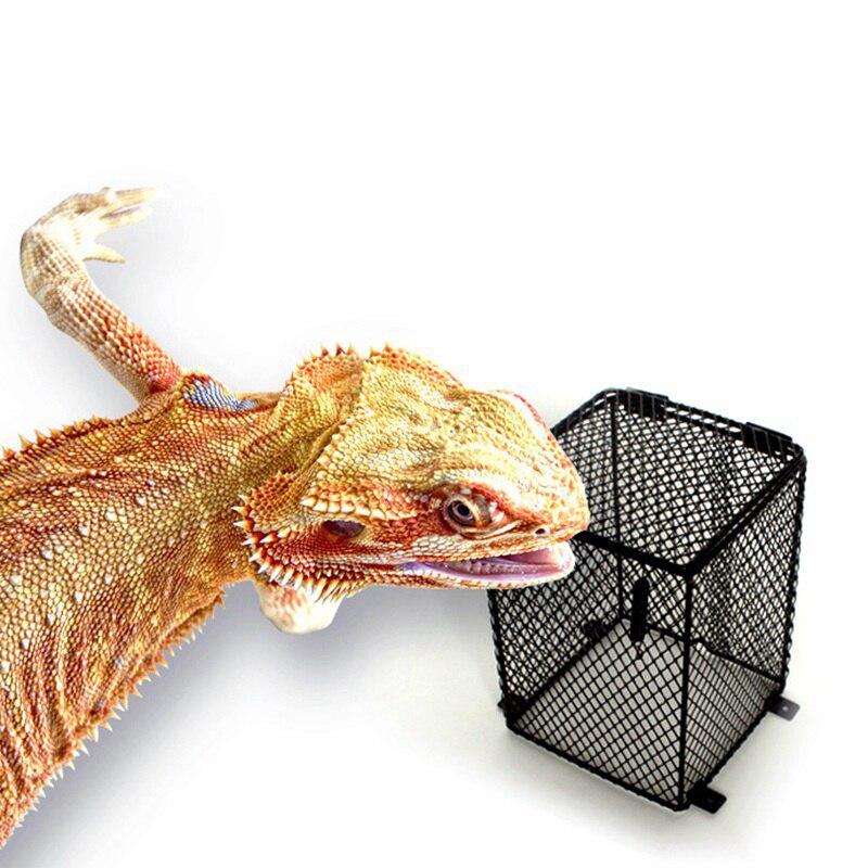 reptile lamp shade