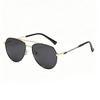 New toad glasses men's pilot double-beam metal sunglasses UV-proof driving polarized sunglasses