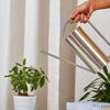 Stainless Steel Long Spout Watering Can, Large Capacity, 1.5L Garden and Household Use.