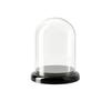Display Dome Transparent Figurine Storage Box Compact for Tabletop