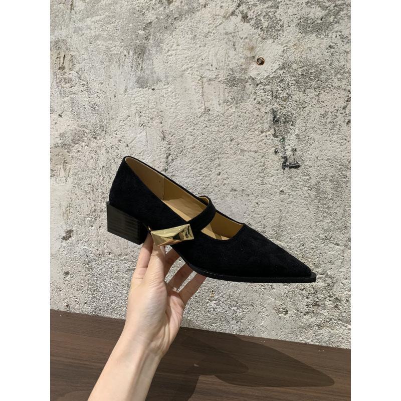 French thick heel pointed head temperament single shoes women's spring and autumn 2025 new models with skirts with evening Mary Jane shoes
