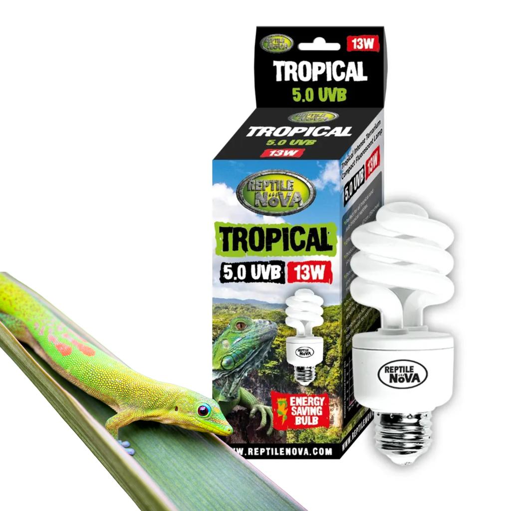 REPTILE NOVA 5.0 UVB 13W - Fluorescent lamp for tropical reptiles | UVA + UVB