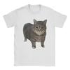 Men Women Spinning Cat Meme T Shirt Funny Brainrot Cotton Tops Fashion Short Sleeve Round Neck Tees T-Shirts