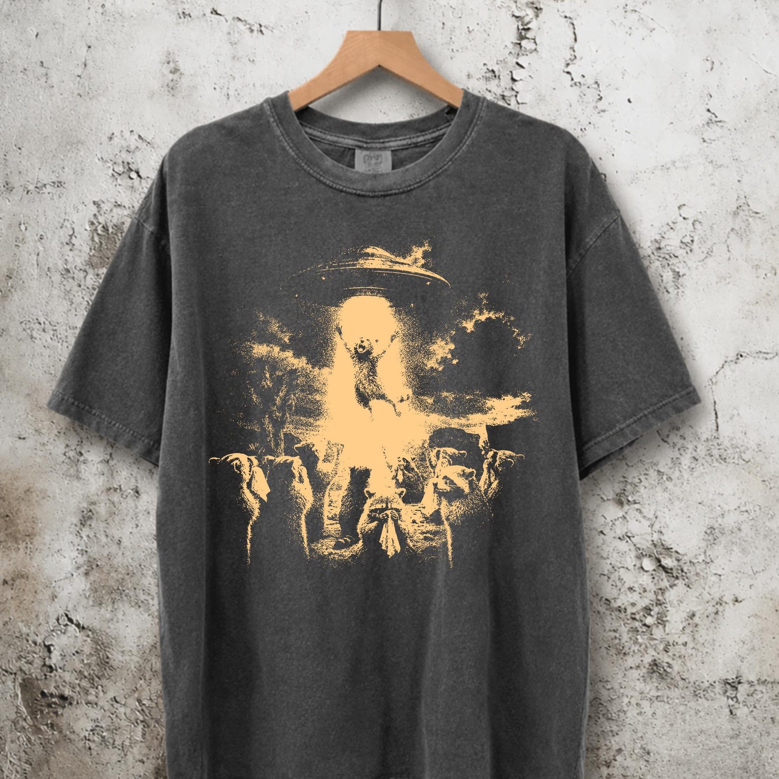 Vintage Alien Raccoon Shirt, UFO Desert Abduction Comfort Colors Tee, Retro Sci Fi Western Graphic, Funny Animal Gift L